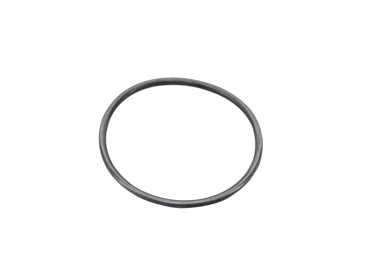 Large O-Ring (Various Uses) 1