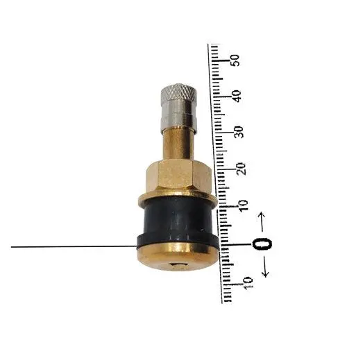 Truck Valve - Tr501 Straight 1