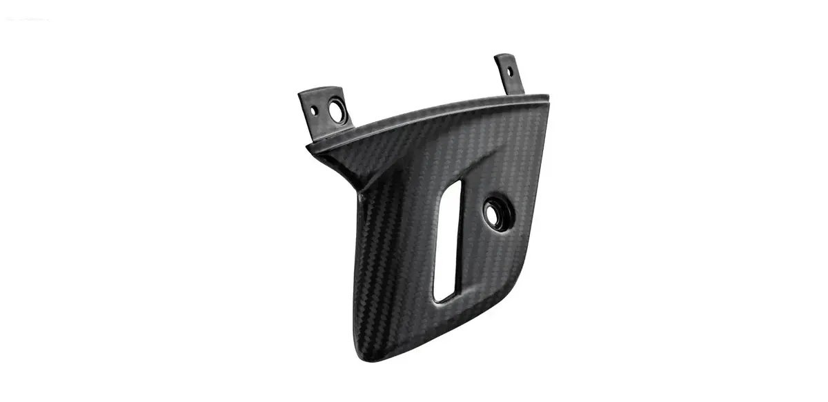 Carbon Fiber Fork Cover Racefoxx | Vespa Gts/Gts Super 125/300Cc (`23-) 1