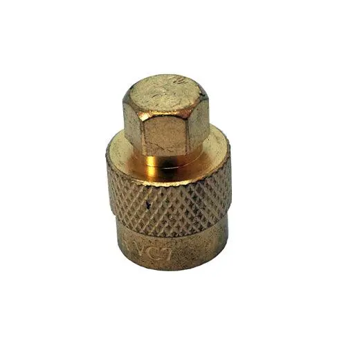 Em Vc7 Valve Cap - Hex 1