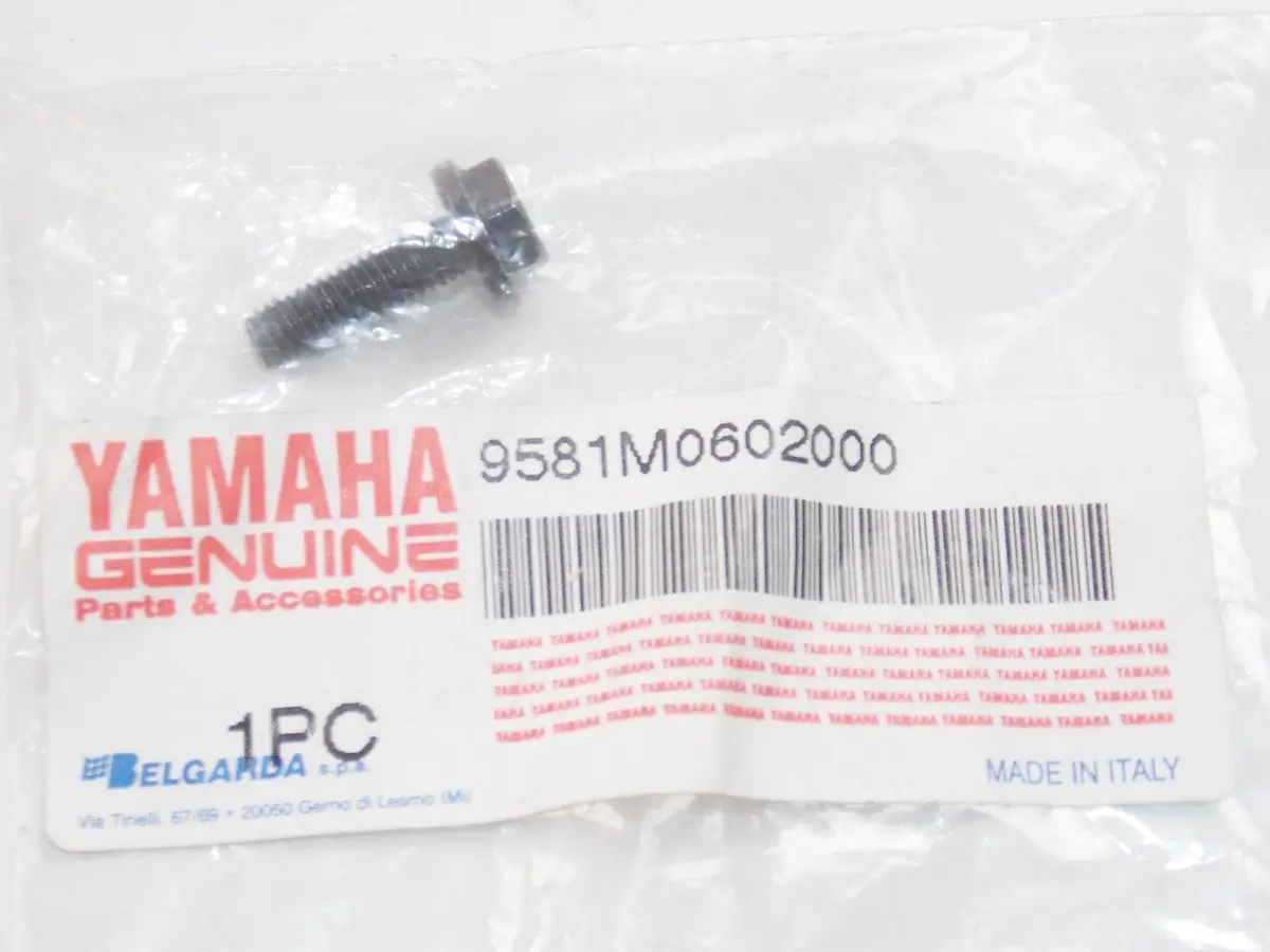 Nos Yamaha 1997 2004 2007  Flange Bolt (K-Local)  Tt600 Mt03  9581M0602000 1