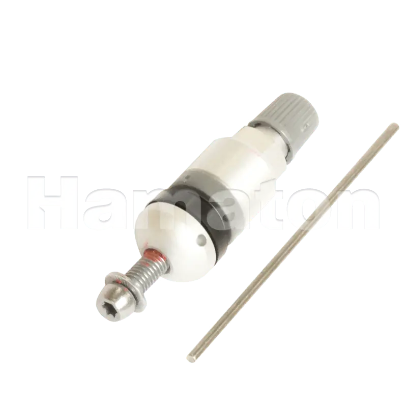 Tpms Replacement Valve - 6-221 1