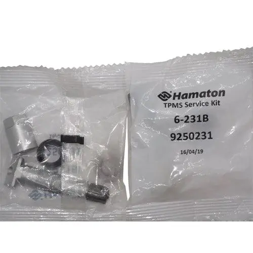 Tpms Replacement Valve - 6-231B (Redi/Vdo) 2