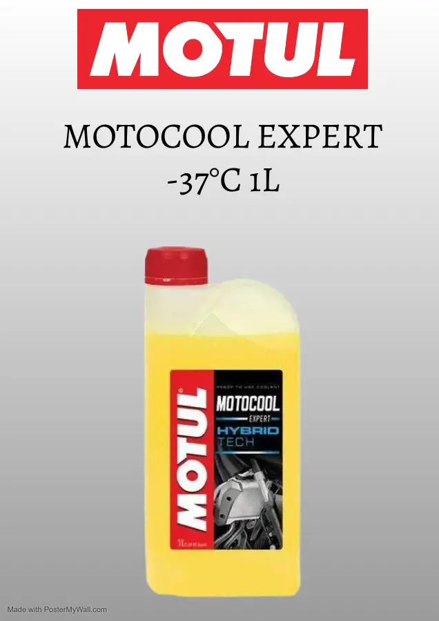 Motul Motocool Expert -37°C 1L 1