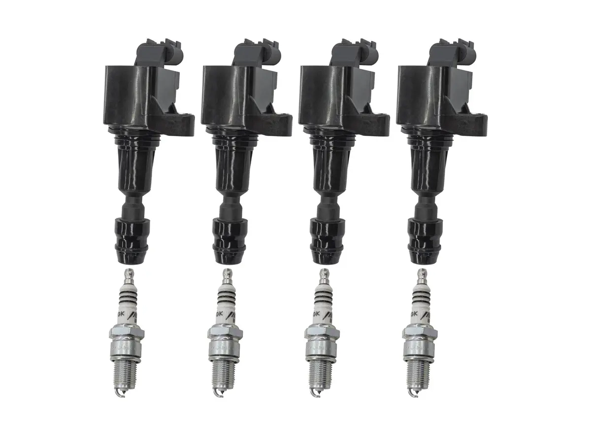 Ignition Coil And Spark Plug Bundle (Gw-Efi) 1