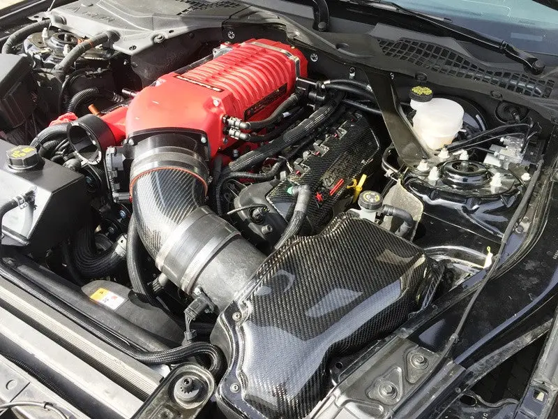2015-2017 Mustang Carbon Fiber Airbox Lid 1