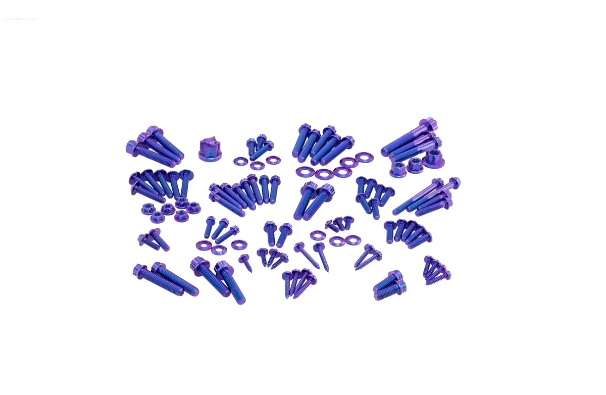 Screw / Bolt Kit Purple Blue | Vespa Gts/Gts Super 125-300Cc ('19-) 1