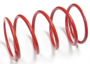 Malossi Honda Ruckus 2000 Rpm Red Contra Spring 1