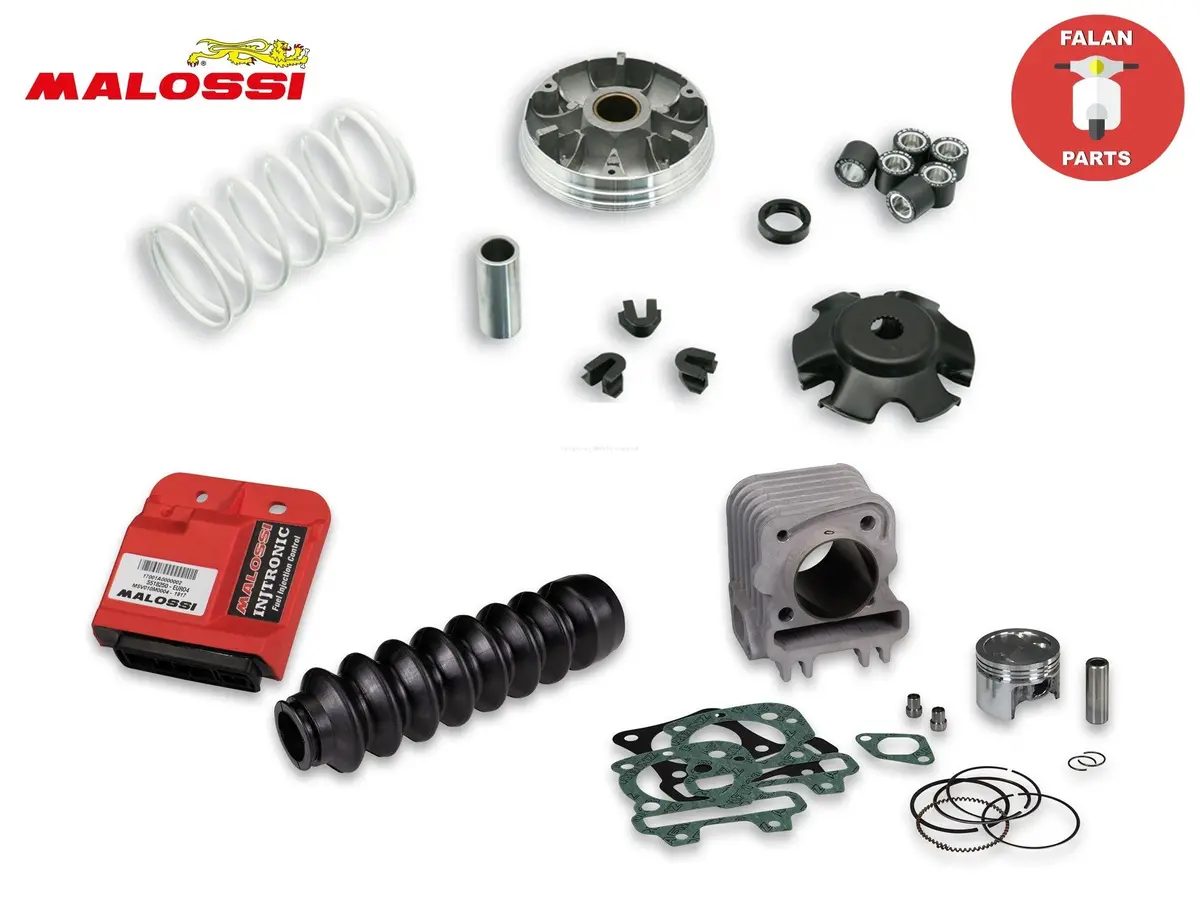 Malossi Performance Kit 80Cc | Vespa Sprint/Primavera/S/Lx/Et4 1