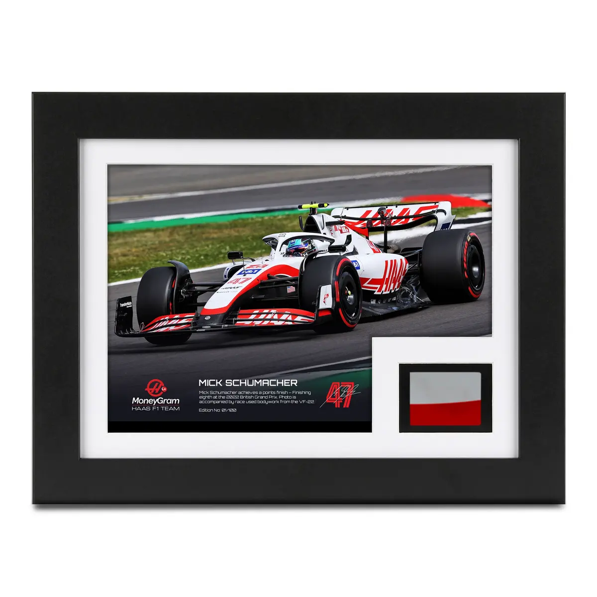 Mick Schumacher 2022 Bodywork & Photo 1
