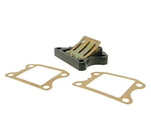 Top Performances Carbon Reed Valve For Honda Dio 1