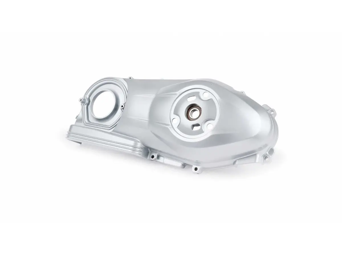 Vario Cover Piaggio | Vespa Primavera/Sprint 125Cc I.E. 3V 4T Ac E4 1