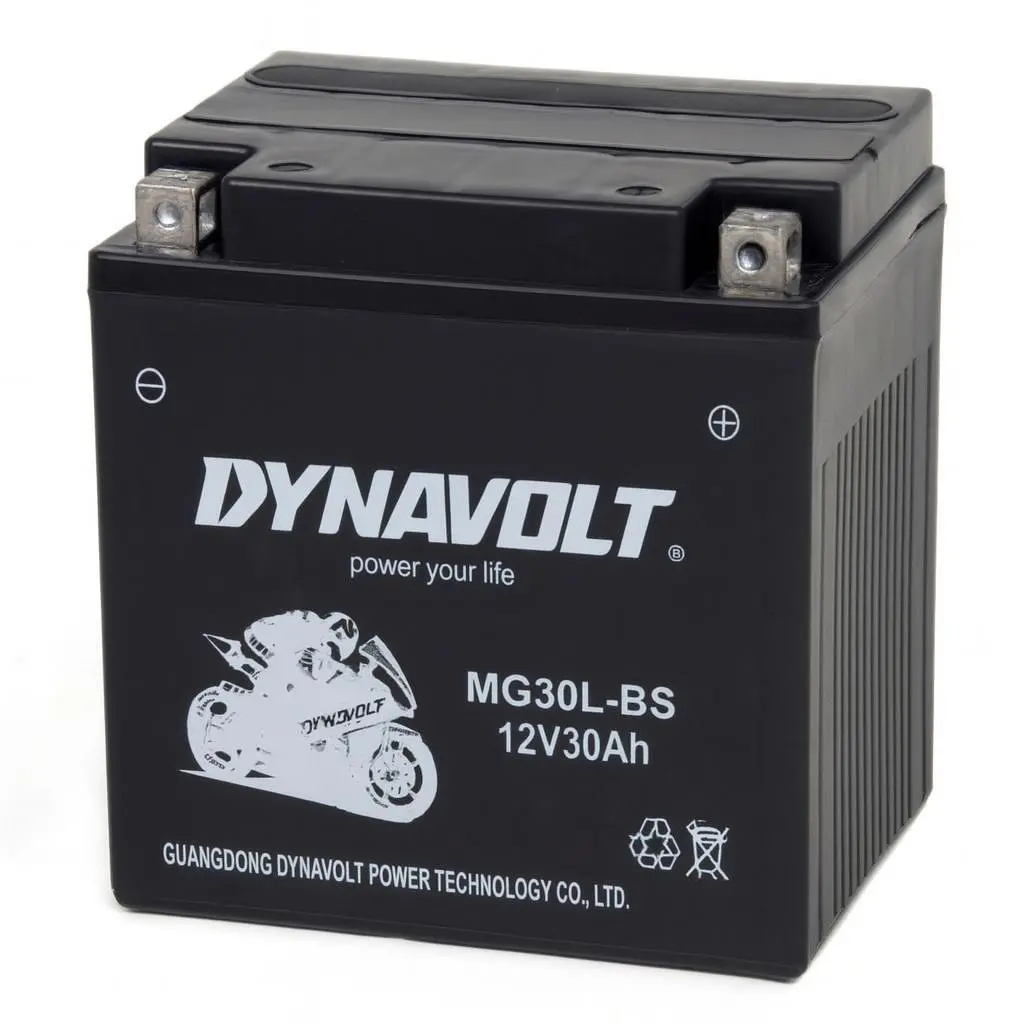 Ytx30l-Bs Mg30l-Bs Dynavolt Agm Nano Gel Battery  12V30ah 1