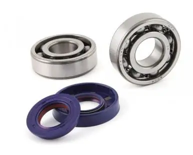 Polini Crankshaft Bearings + Oil Seals Zuma 1