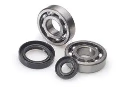 Honda Oem Bearings And Crank Seals For The 1994-2001 Honda Elite 1