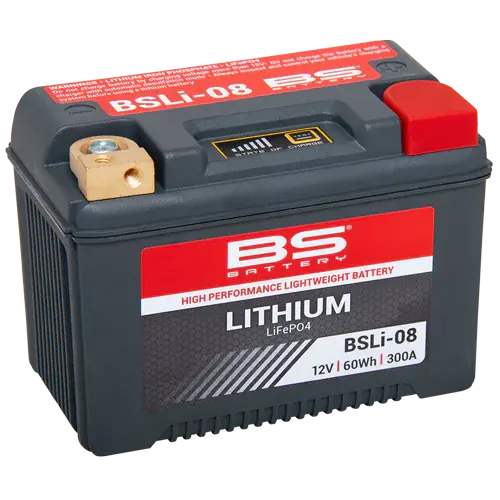Bs Battery Bsli-08 Lithium Battery 12.8V 5Ah (60Wh) 1