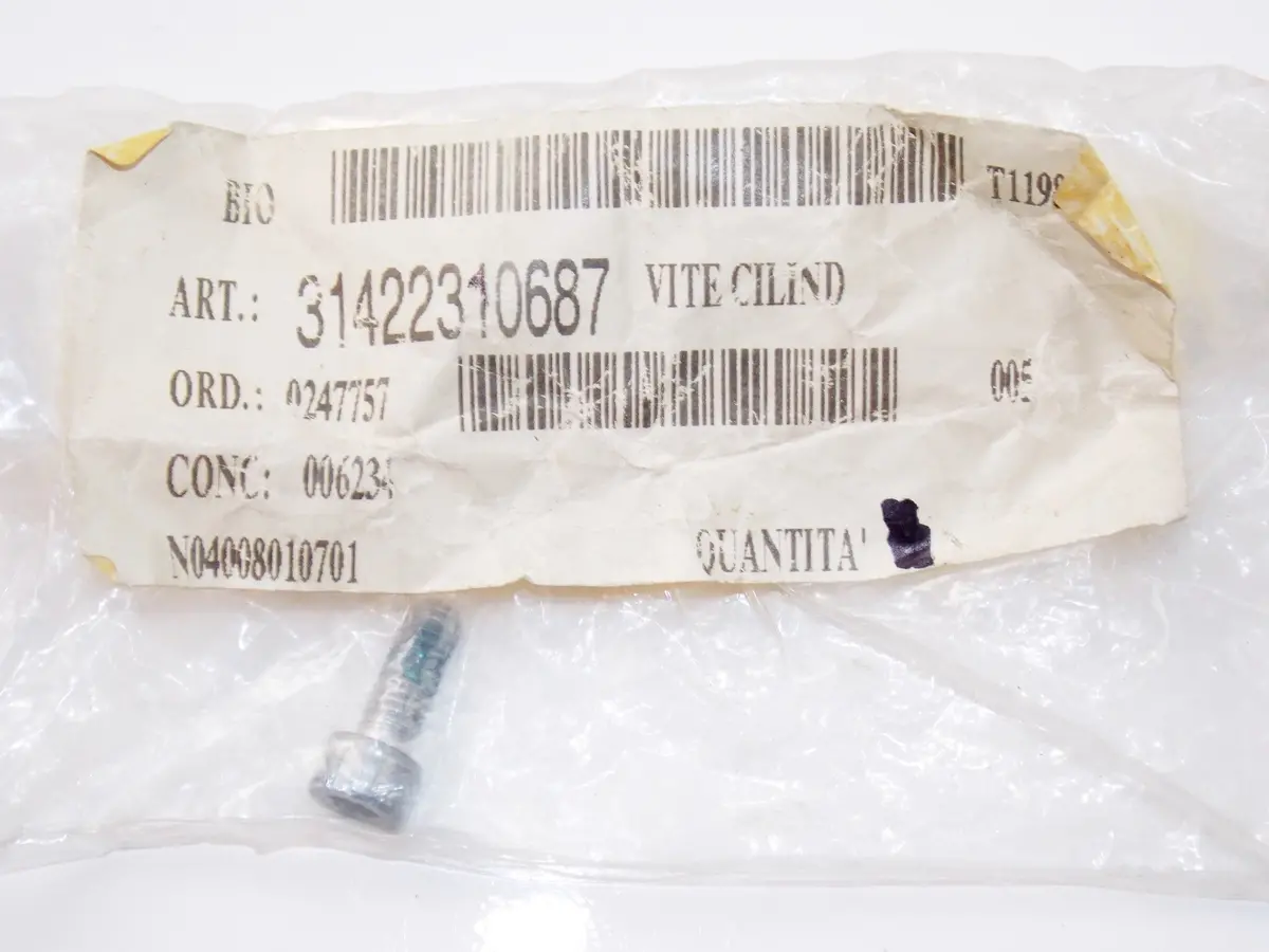 Nos Oem Bmw 96-05 R1100s/1150Gs/1200C/Cl Fillister Head Screw M6x16 #31422310687 1