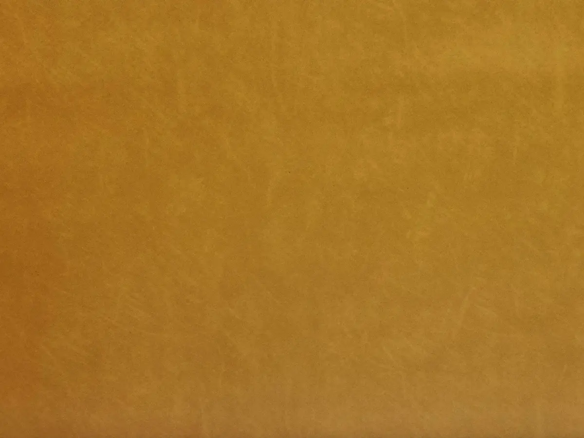 Old Mustard Vinyl 1