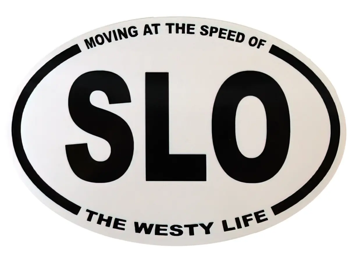 Moving At The Speed Of Slo Sticker 1