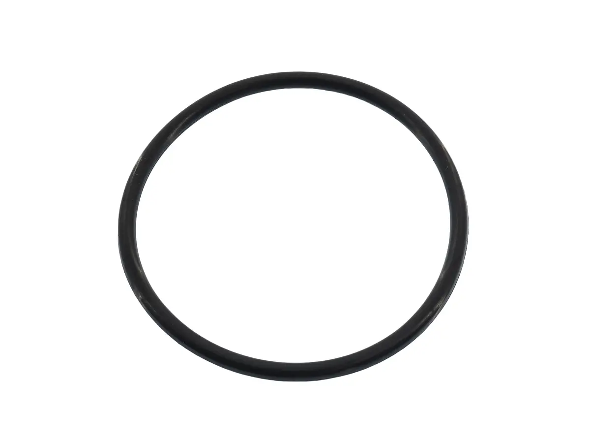 Thermostat O-Ring 1