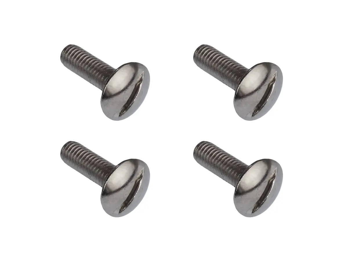Luggage Rack & Pop-Top Hinge Screw Set [Vanagon] 1