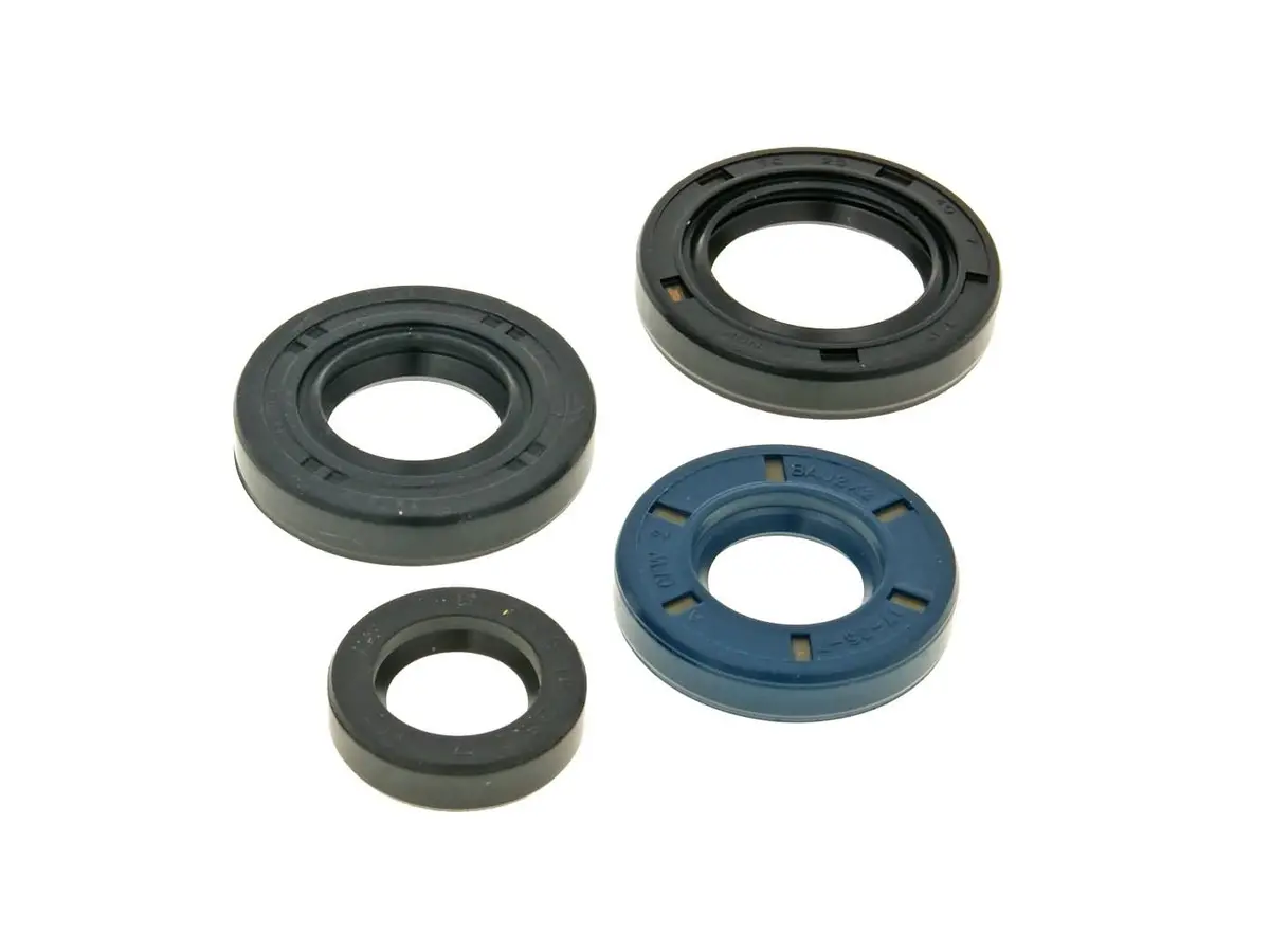 Genuine Buddy / Rough House Oil Seal Kit 1