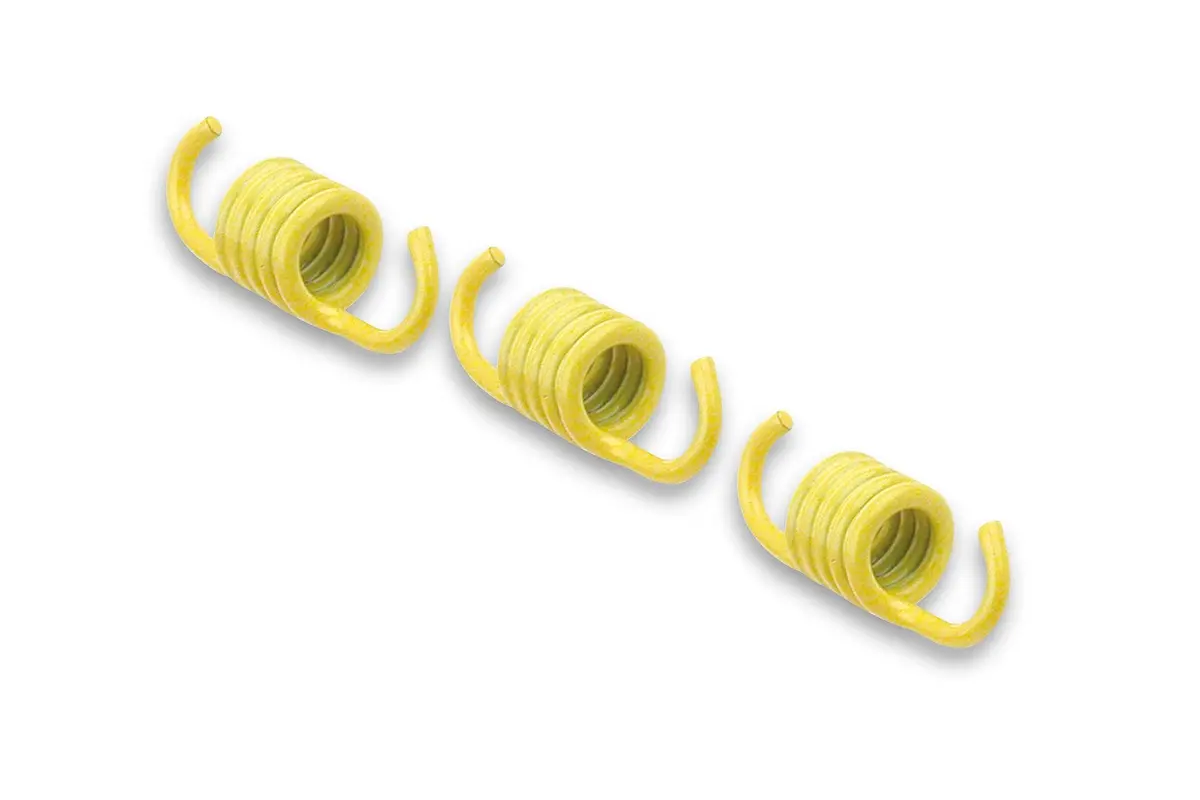 Malossi Delta/Fly Springs 1
