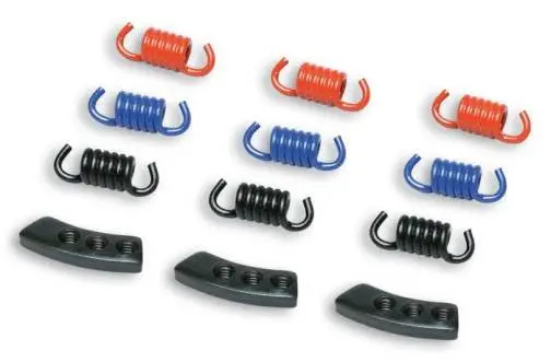 Malossi Delta/Fly Spring/Weight Kit 1