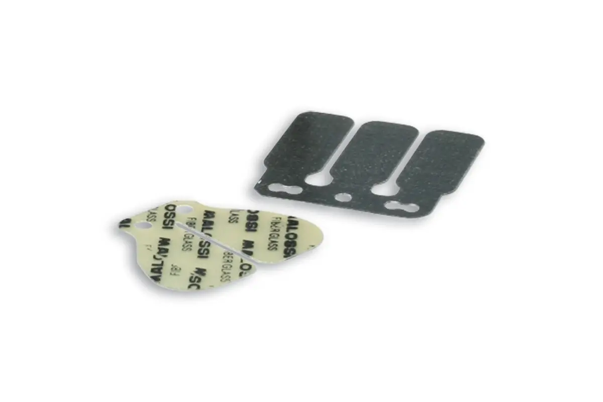 Malossi Reed Kit For Aero/Elite/Spree 1