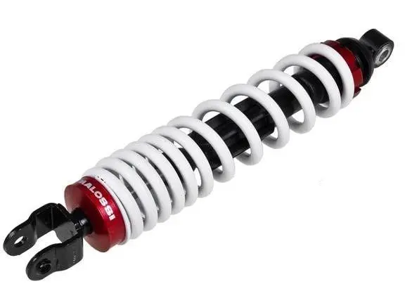 Malossi Rs1  Zuma Shock 1