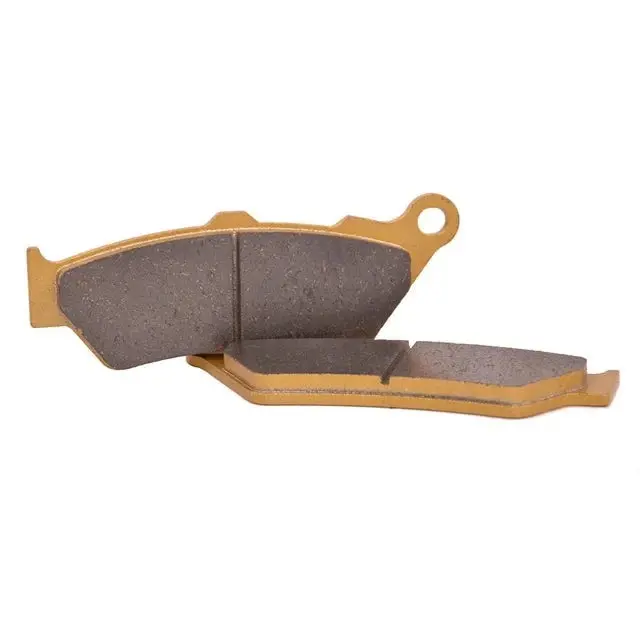 Otrss Ss209/2 Brake Pads Replacement For Bmw R 1250 Gs Edition 40 20-21/ R 1250 Gs Adventure 19-20/ R 1250 Gs Adventure Edition 40 20-21/ R 1250 Gs Te (Disc Has Fixed Bobbins) 19-20 1