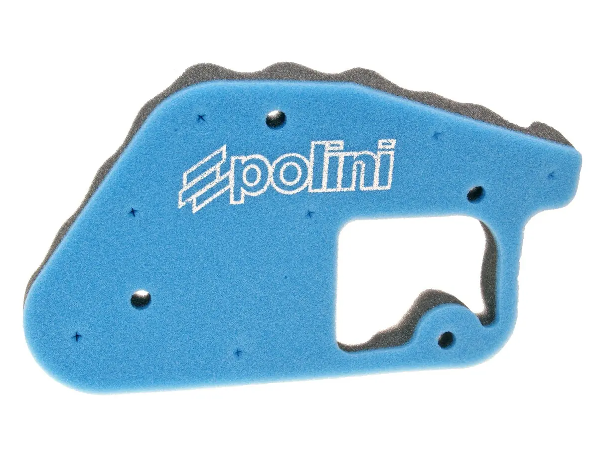 Polini Air Filter Zuma 1