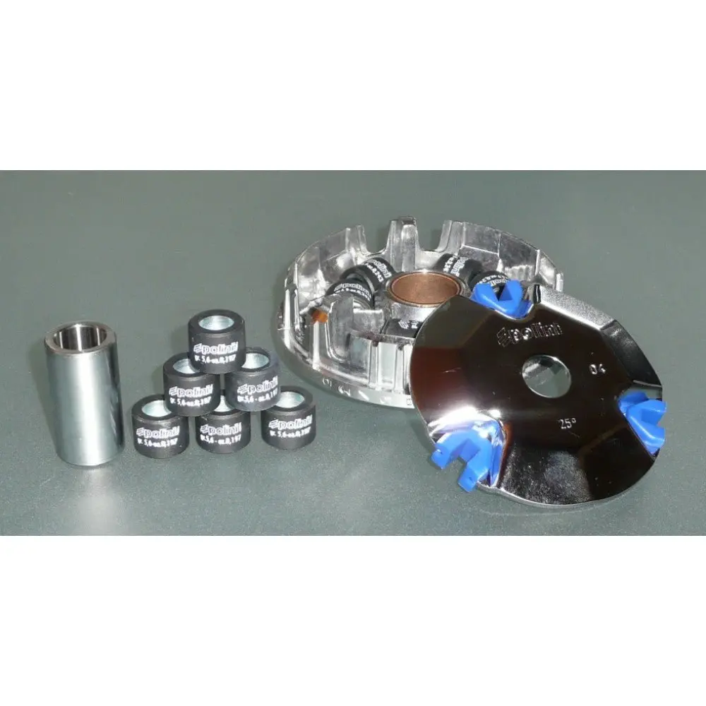 Polini Variator Ruckus 1