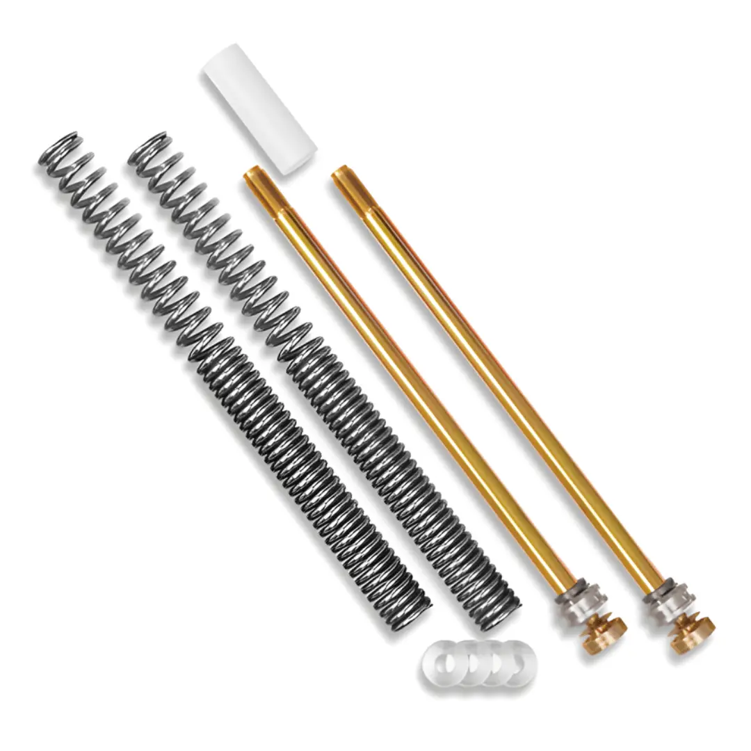 Progressive Front Fork Upgrade Kit 1