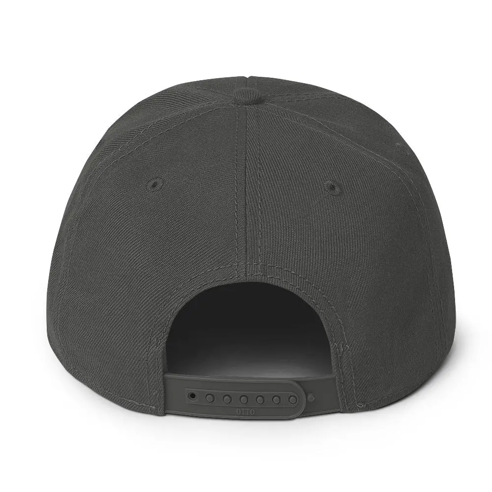 High Voltage Westy Snapback Hat 5