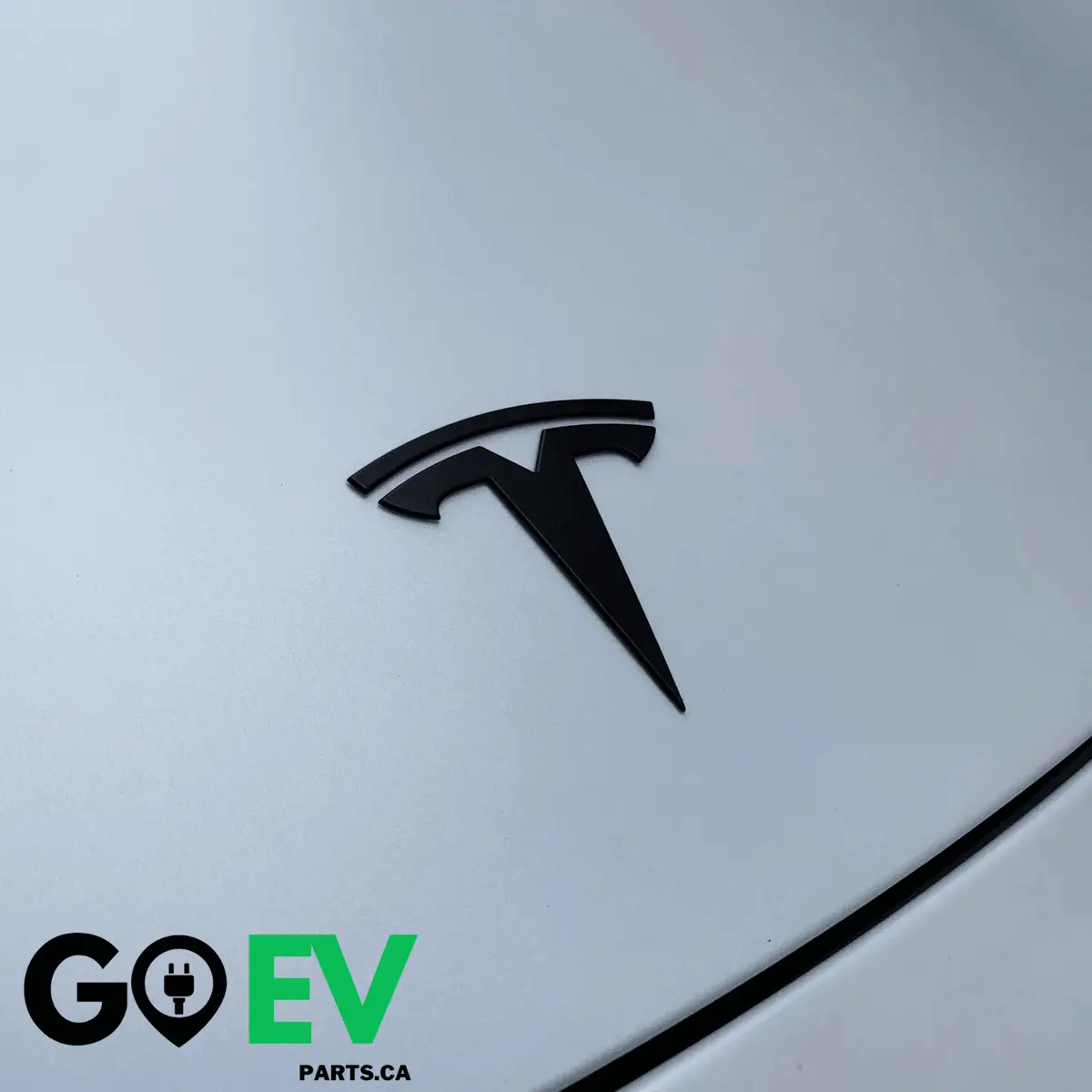 Tesla Model 3/Y: Front And Rear Abs Logo 1